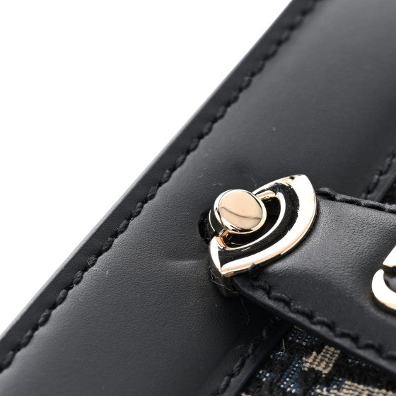 Dior Oblique
